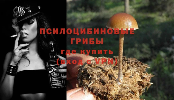 спайс Приозерск