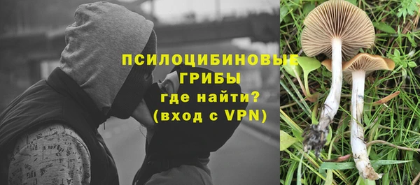 спайс Приозерск