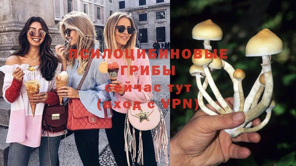 сатива Семикаракорск