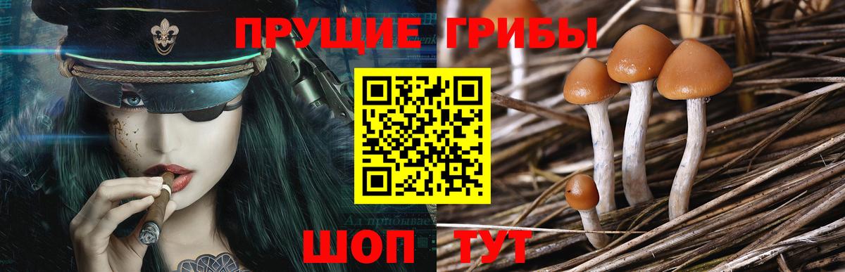 Галлюциногенные грибы ЛСД  Галлюциногенные грибы Psilocybe  Сокол  Вход с VPN 