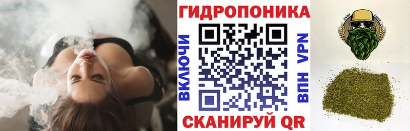 Шишки марихуана индика  Сокол 